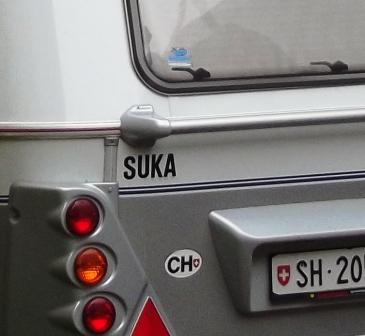 365x336, 41 Kb / сука