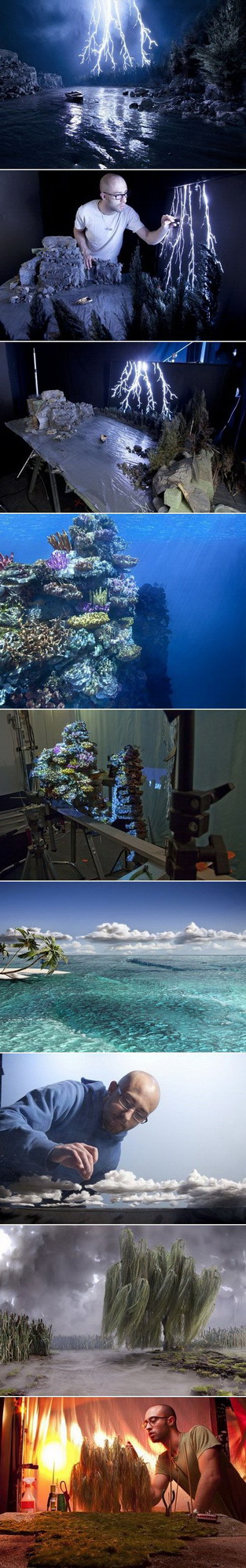 313x1998, 284 Kb / фото, постановка, ива