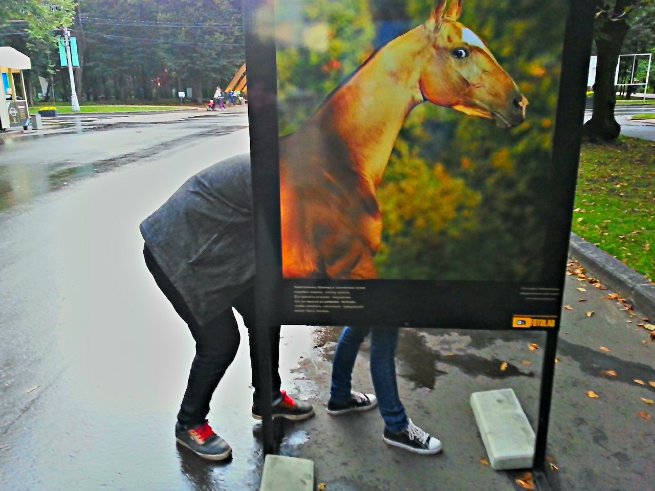 1280x960, 199 Kb / лошадь