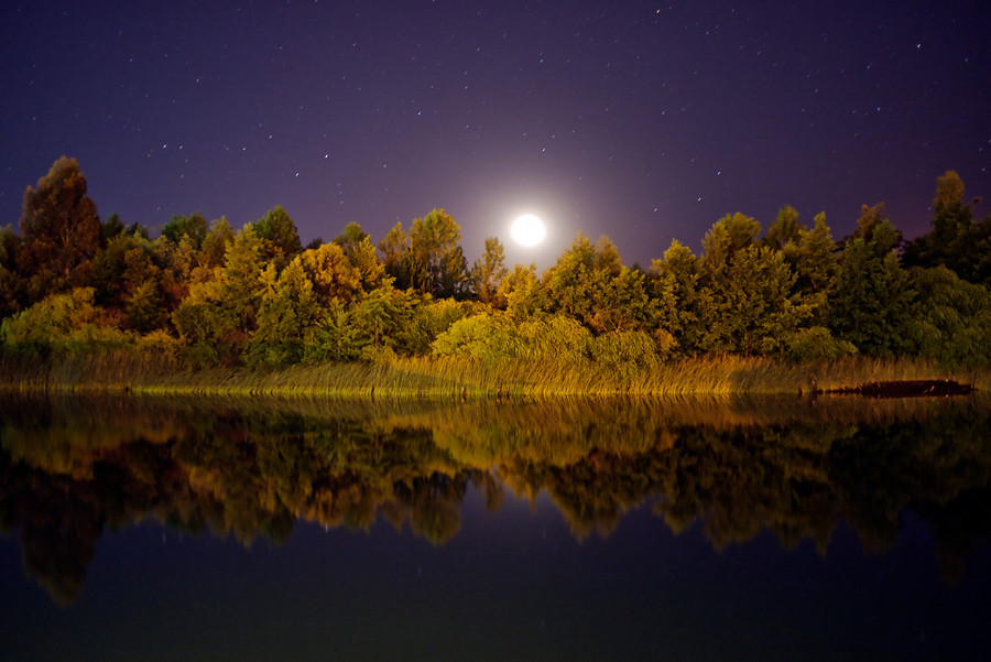 900x601, 154 Kb / ночь, озеро, луна, деревья