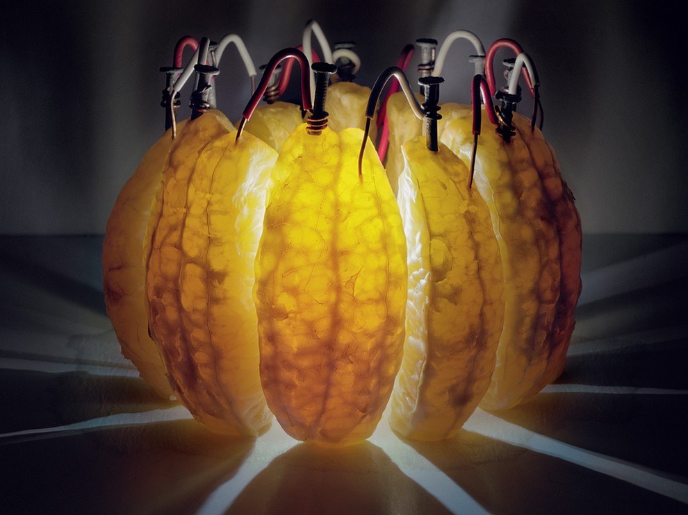 990x742, 116 Kb / апельсин, дольки, гвозди, светодиод, свет