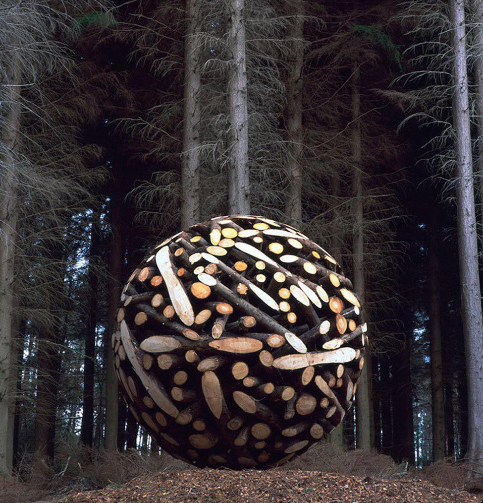 975x1014, 245 Kb / лес, бревна, шар