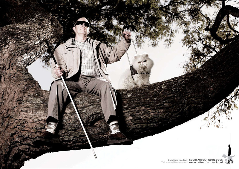 800x565, 230 Kb / слепой, трость, проводырь, дерево, сук