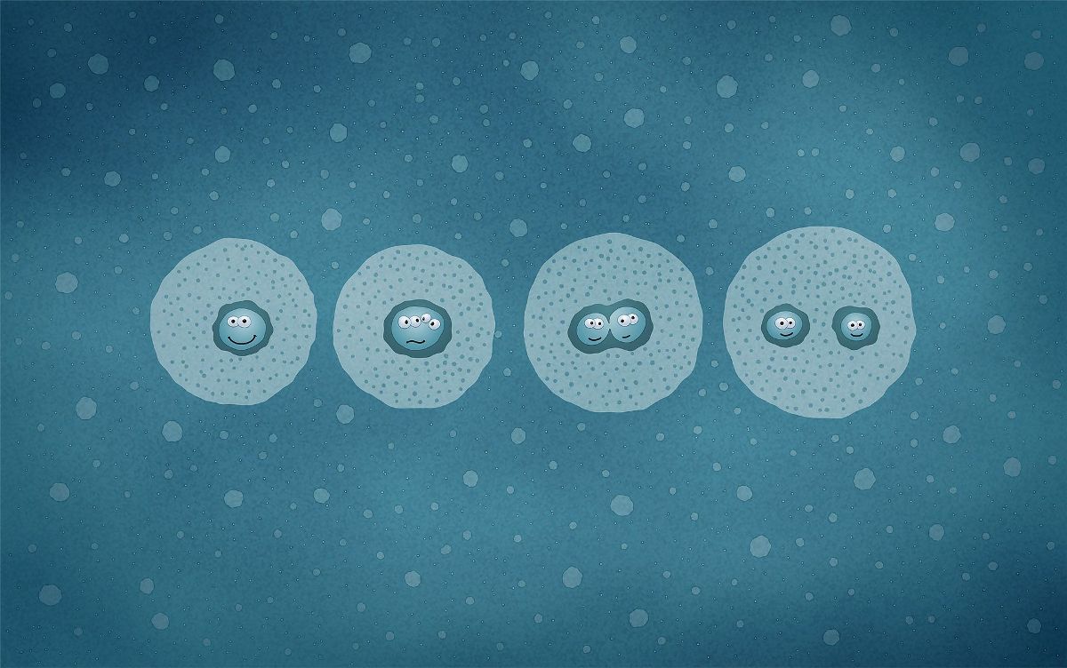 1200x752, 135 Kb / клетки, деление