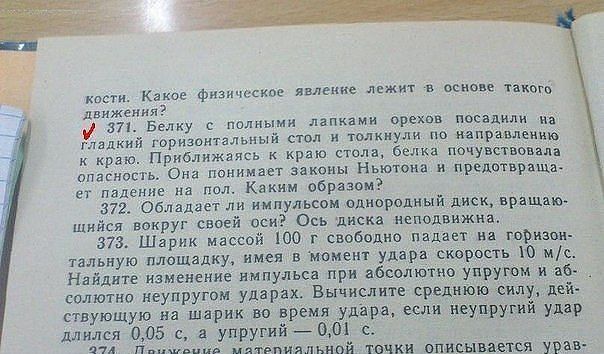 604x354, 59 Kb / белка, орехи, стол, физика, Ньютон