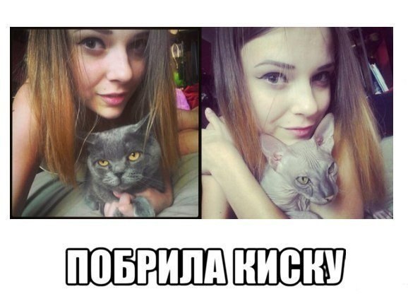 578x416, 44 Kb / киска, девушка, кошка, побрила