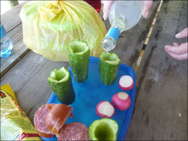 642x482, 84 Kb / поднос, редис, огурец, лук, водка, бутылка