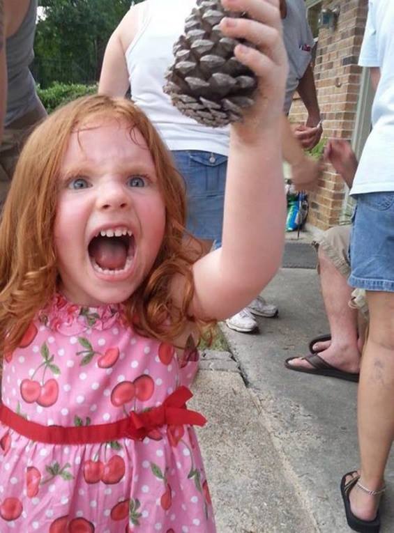 565x765, 60 Kb / девочка, шишка