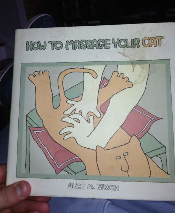 351x428, 50 Kb / массаж, кот, котлета