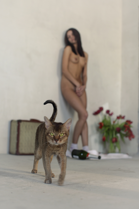 567x850, 228 Kb / чемодан, бутылка, брюнетка, котэ