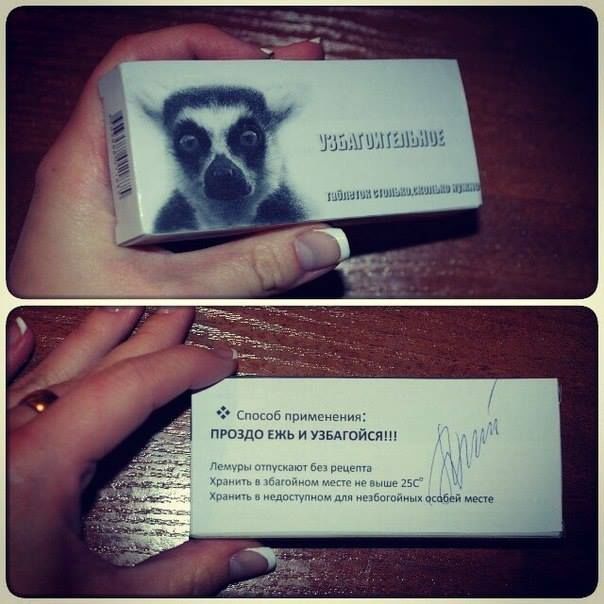 604x604, 68 Kb / узбагоительное, лемур