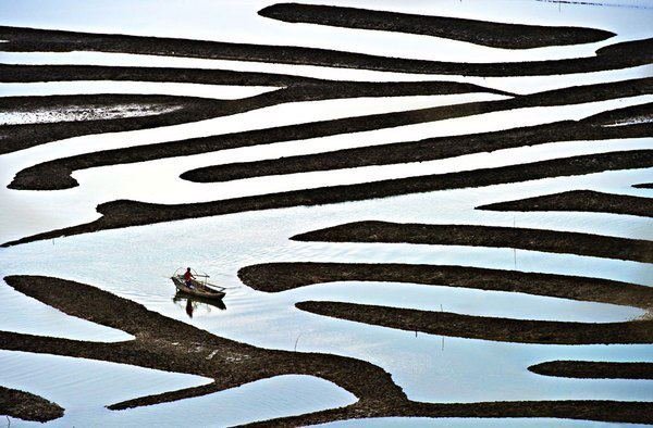 600x394, 67 Kb / вода, лодка, лабиринт