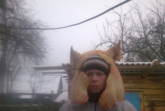 640x432, 65 Kb / свинище