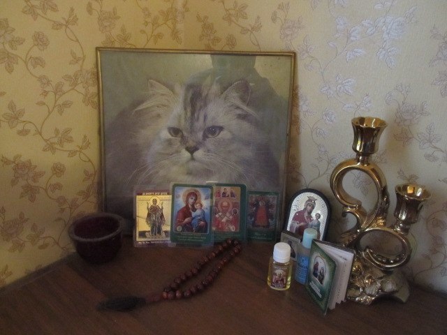 640x480, 60 Kb / кот, пгм, иконы