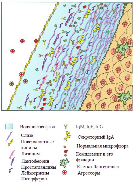 462x633, 102 Kb / НЁХ