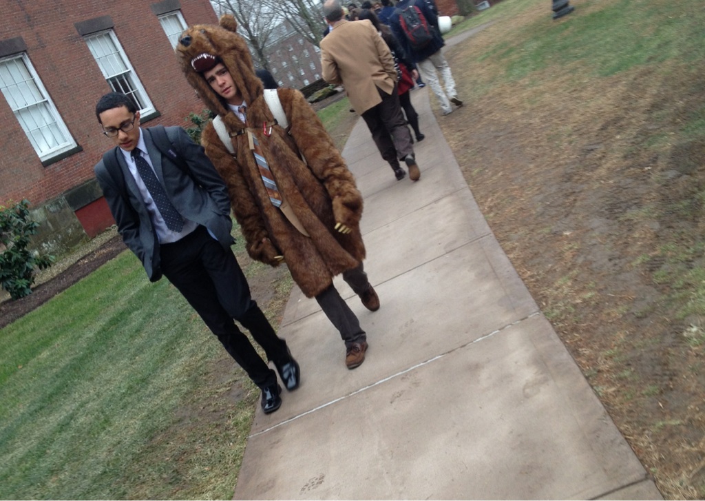 1024x727, 252 Kb / медведь, шуба