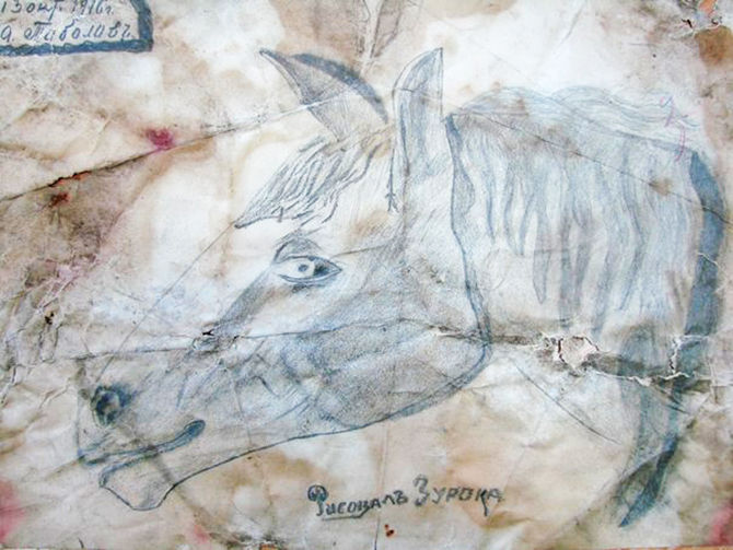 670x503, 89 Kb / рисунок, лошадь, хабаровск, 1916