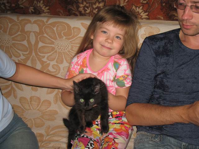 640x480, 55 Kb / DIM, дочка, кошка