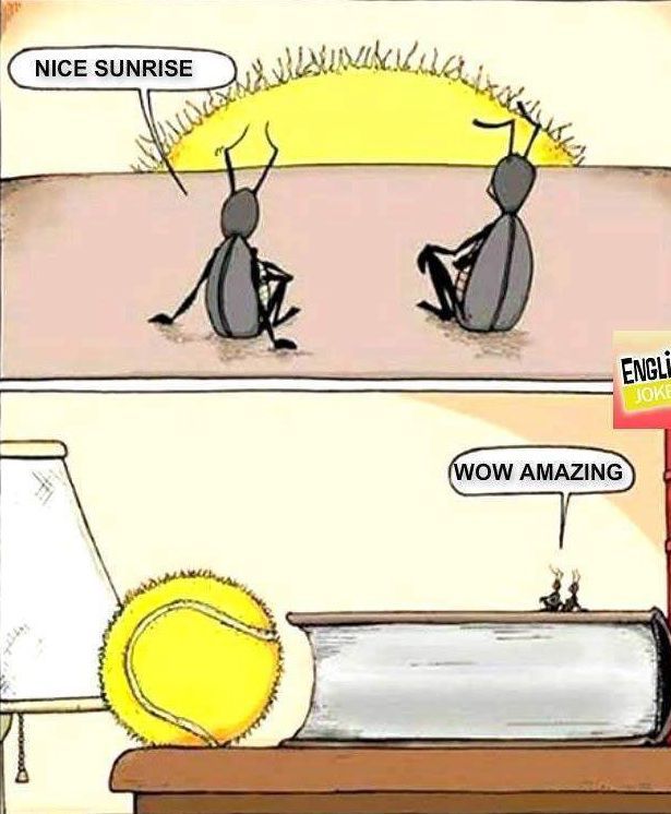 615x746, 59 Kb / тараканы, теннисный мячик