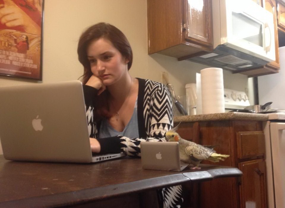 960x701, 108 Kb / apple, девушка, попугай, макбук