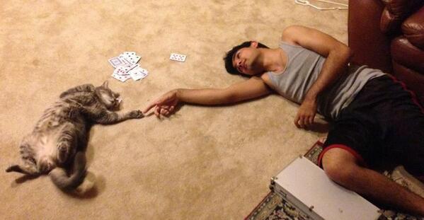 599x311, 27 Kb / сотворение адама, микеланджело, кот, человек