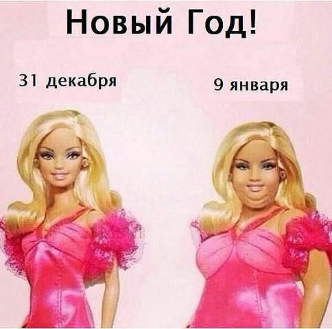 484x480, 35 Kb / барби, толстая