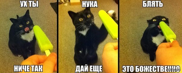 604x242, 44 Kb / кот, комикс, мороженое, распробовал, блять, божественно