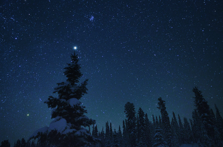 900x596, 219 Kb / ночь, ель, звезда, снег, небо, ёлка, звёзды