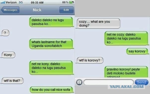 604x380, 45 Kb / Чат, коровы, korovy,