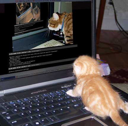 432x425, 55 Kb / коты, рекурсия