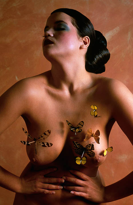 465x715, 79 Kb / бабочки, акупунктура, иглы