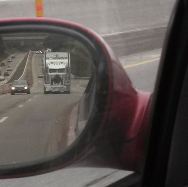 605x600, 37 Kb / грузовик, пасть, зеркало