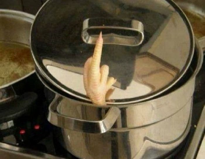 700x545, 45 Kb / кастрюля, лапка, курица