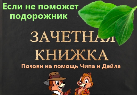 480x333, 119 Kb / сессия, зачётка, подорожник, чип, дейл