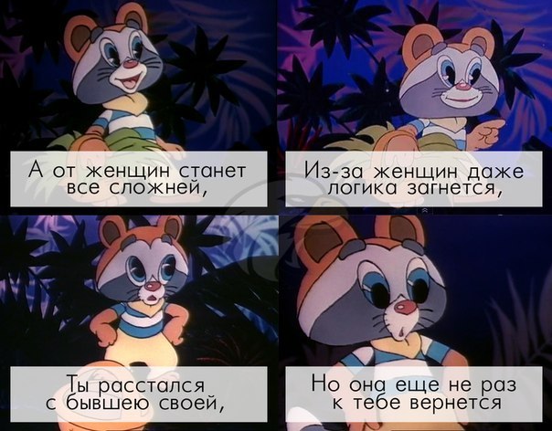 604x472, 72 Kb / женщина, логика, бывшая, енот