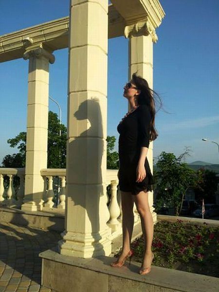 450x600, 46 Kb / тень, кобыла, лошадь, не сразу