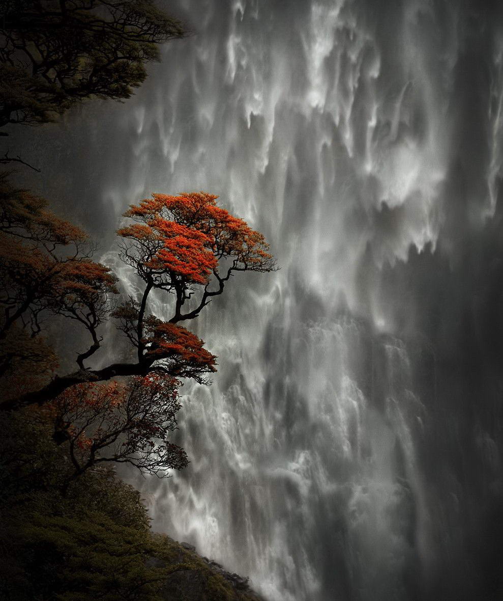 989x1180, 142 Kb / водопад, дерево