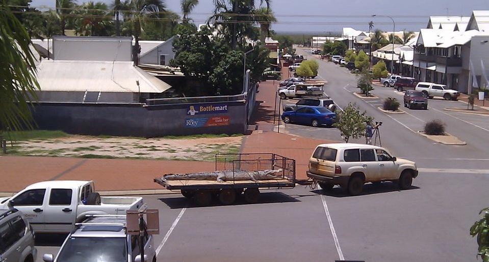 959x515, 191 Kb / австралия, джип, крокодил