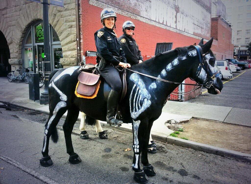 1024x750, 158 Kb / полиция, лошадь, скелет