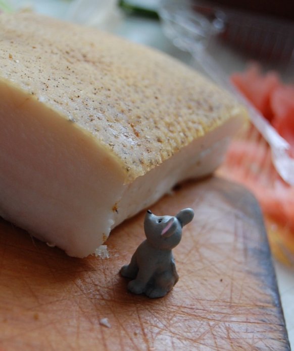 582x696, 51 Kb / Сало, мышь