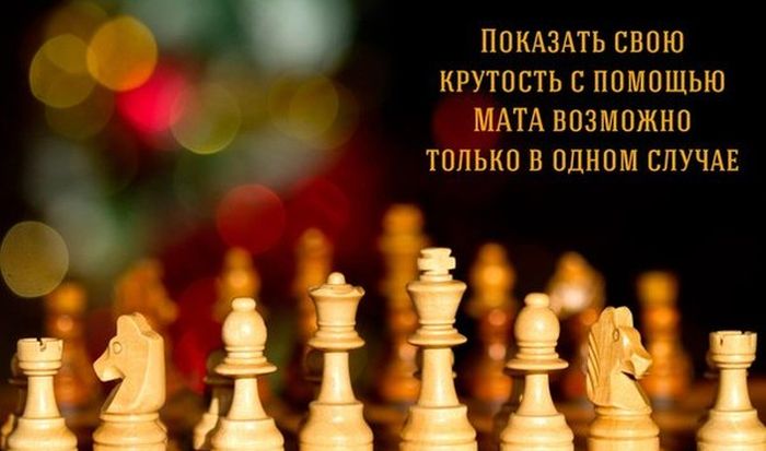 700x413, 40 Kb / шахматы