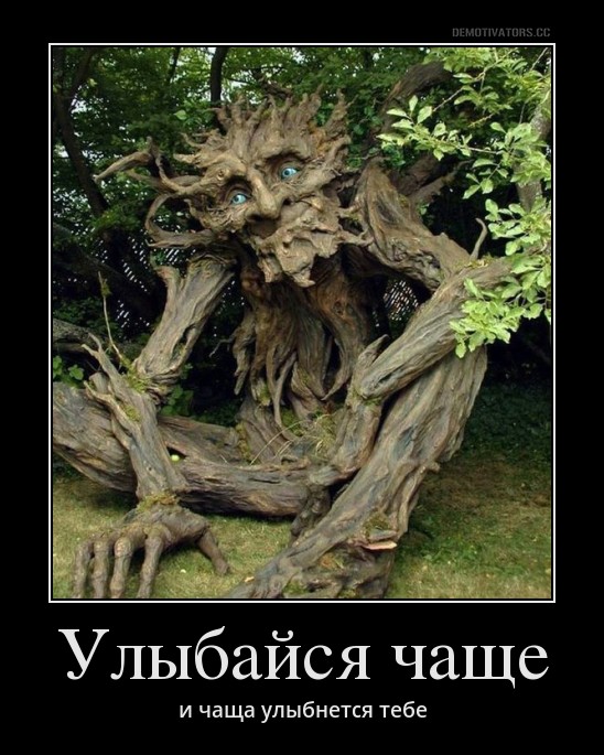 548x685, 110 Kb / улыбайся, чаща