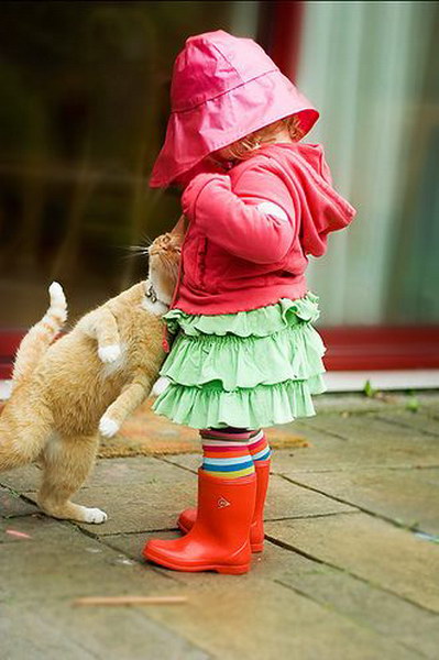 399x600, 57 Kb / девочка, кот