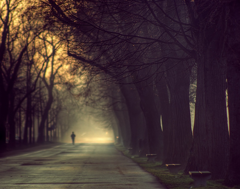 800x633, 245 Kb / аллея, скамейки, парк