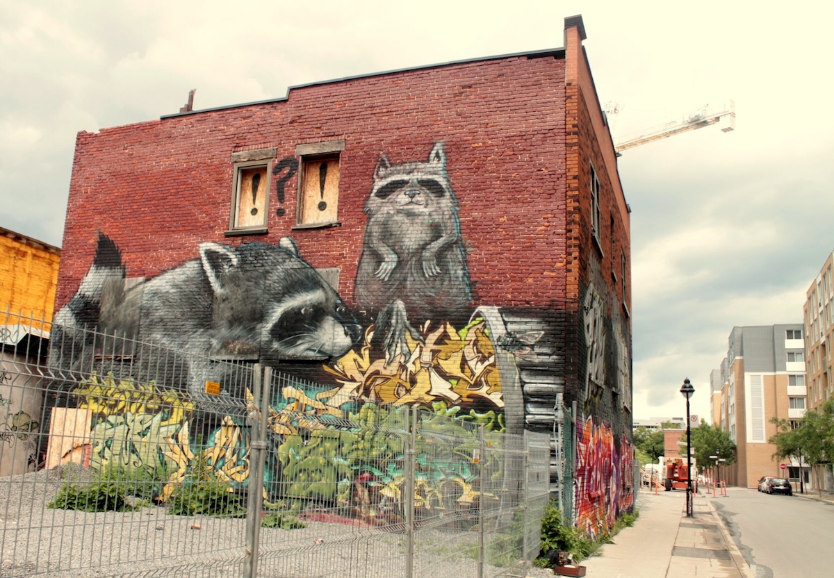 1200x832, 333 Kb / стрит-арт, еноты, стена, Польша