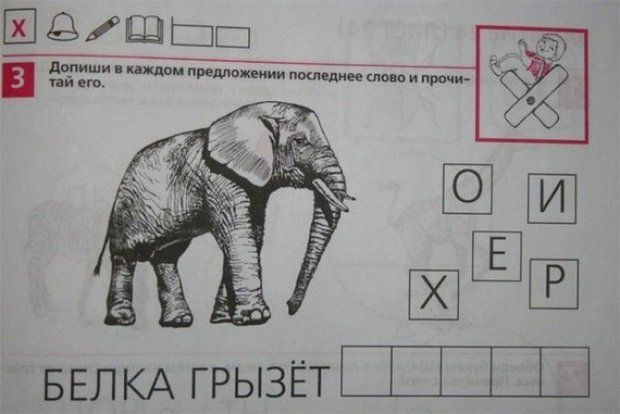 620x414, 41 Kb / белка, грызет, хер, задачка