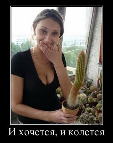 398x500, 28 Kb / кактус, хочется, колется