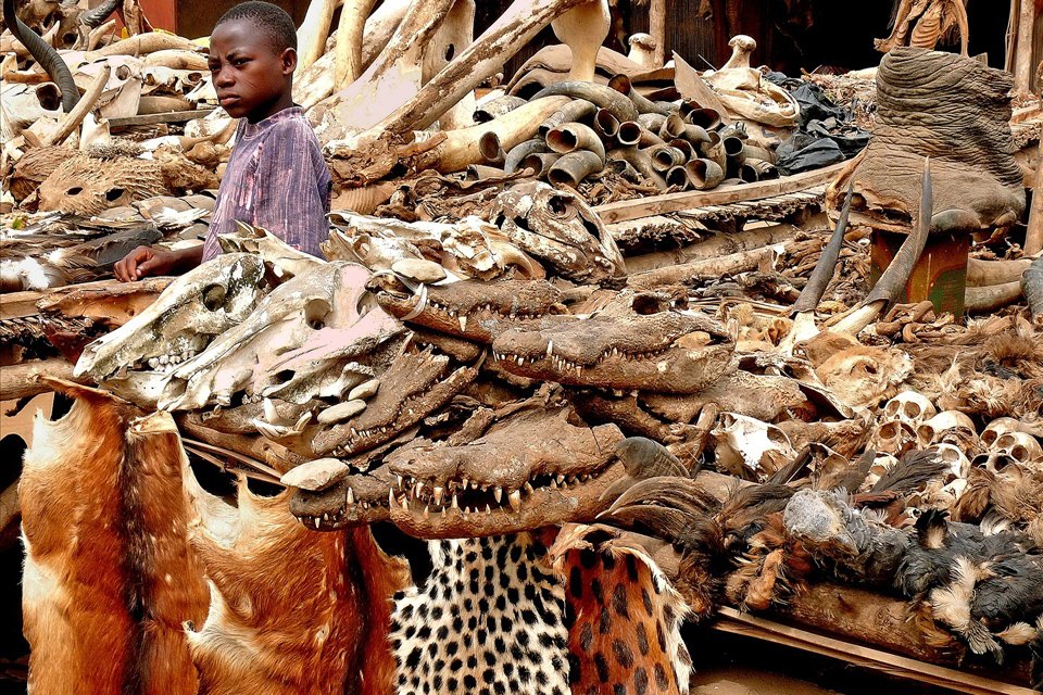 960x640, 287 Kb / черепа, шкуры, негритенок, вуду, рынок