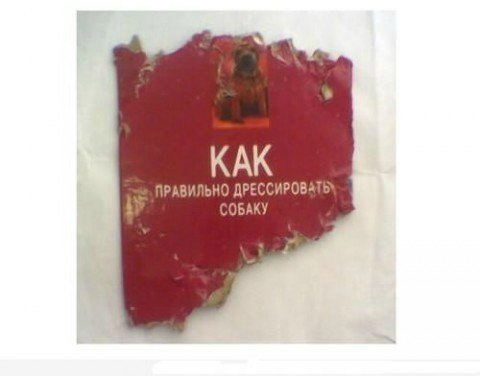 480x376, 18 Kb / книга, обложка, дрессировка