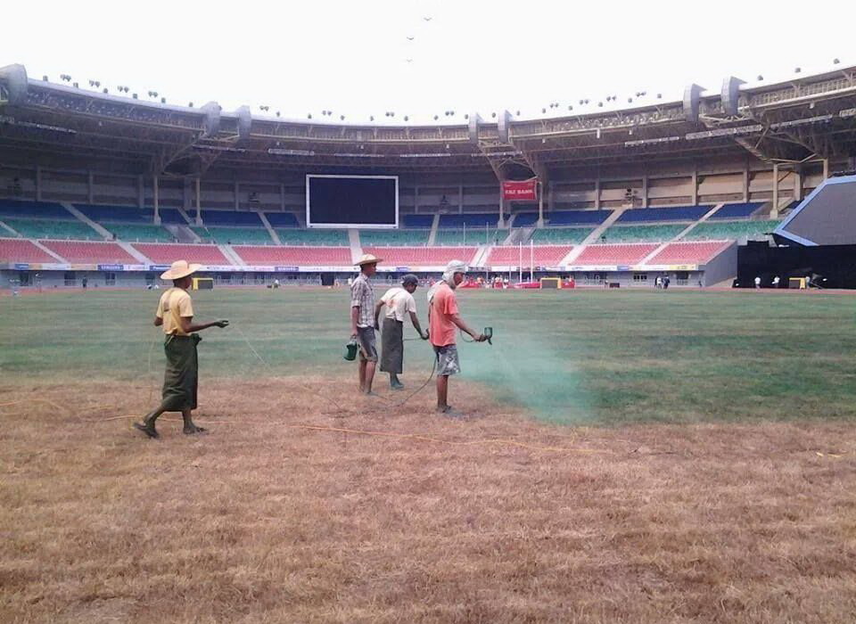 960x700, 162 Kb / газон, стадион, покраска